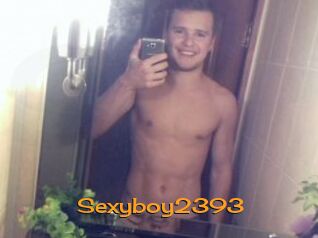 Sexyboy2393