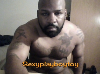 Sexyplayboytoy