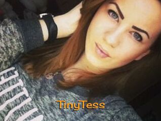 TinyTess