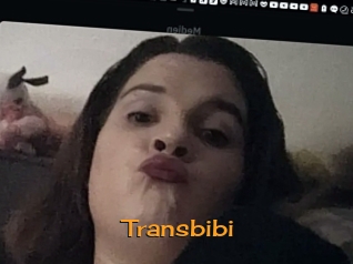 Transbibi