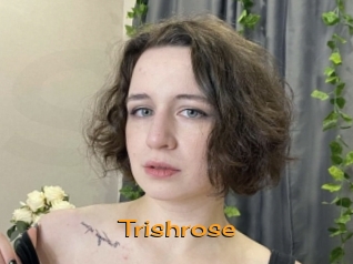 Trishrose