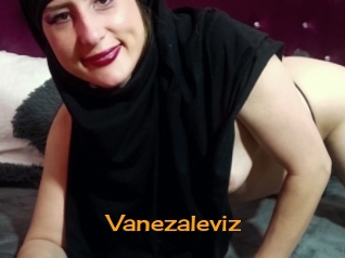 Vanezaleviz