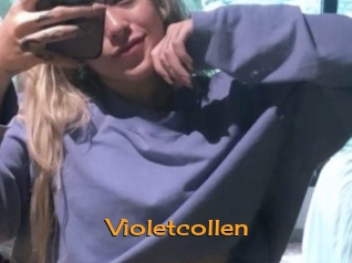 Violetcollen