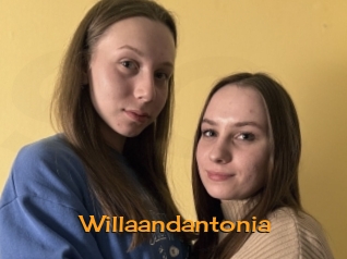 Willaandantonia