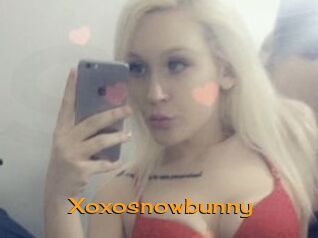 Xoxosnowbunny