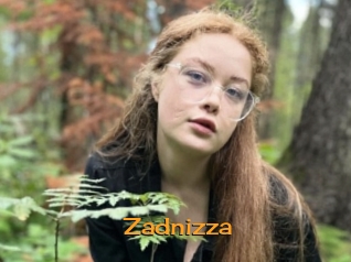 Zadnizza